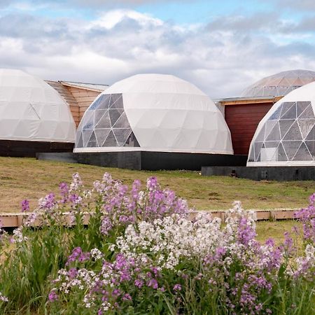 Garden Domes Villa Puerto Natales Esterno foto