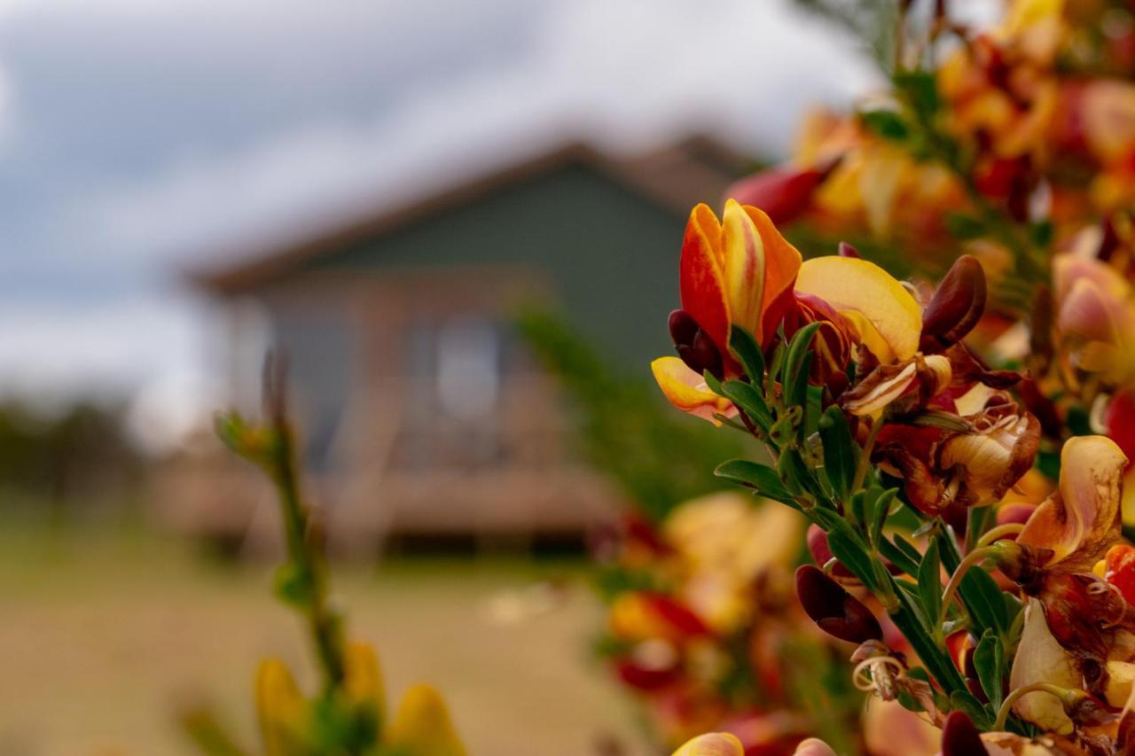 Garden Domes Villa Puerto Natales Esterno foto