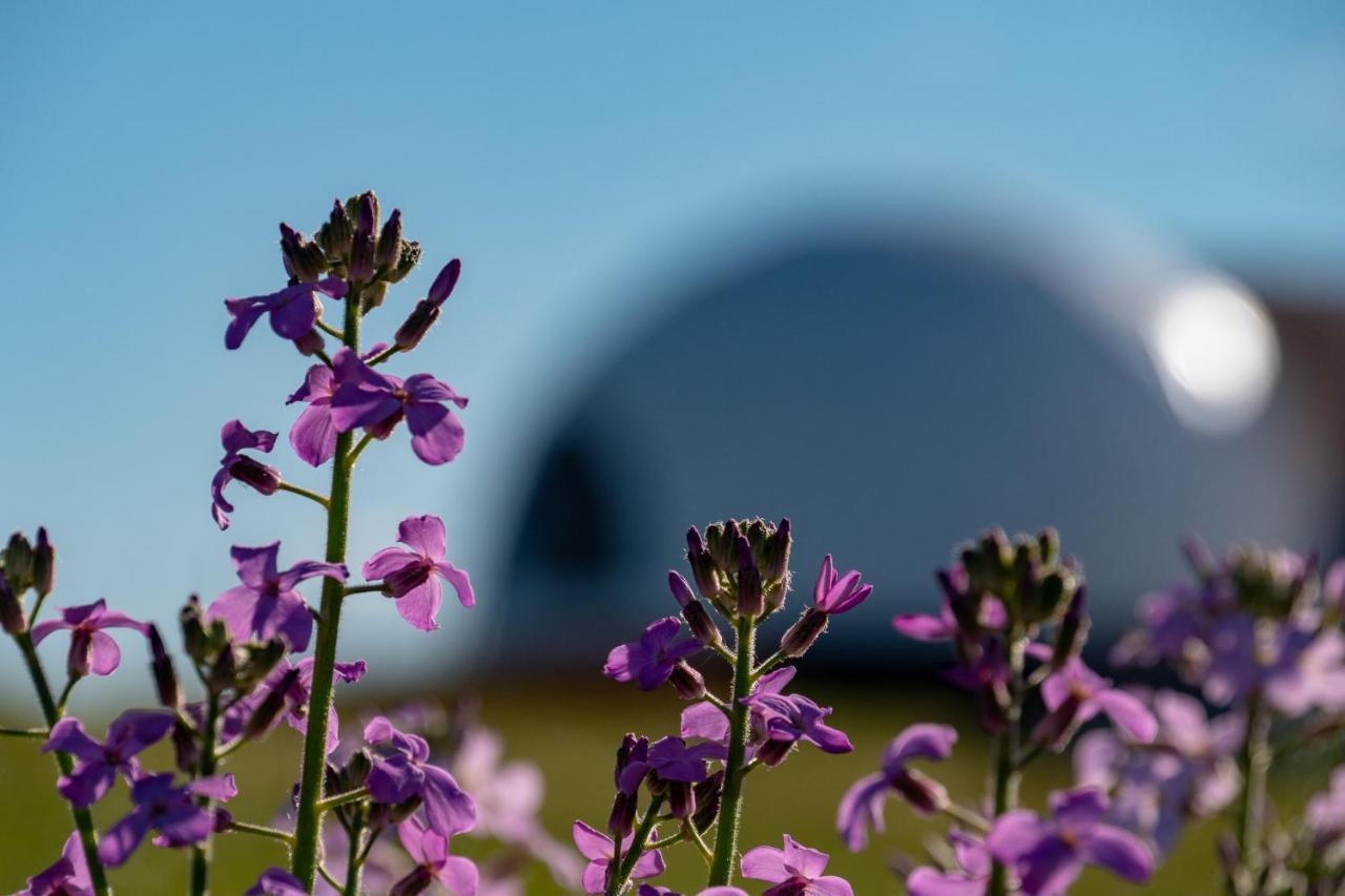 Garden Domes Villa Puerto Natales Esterno foto