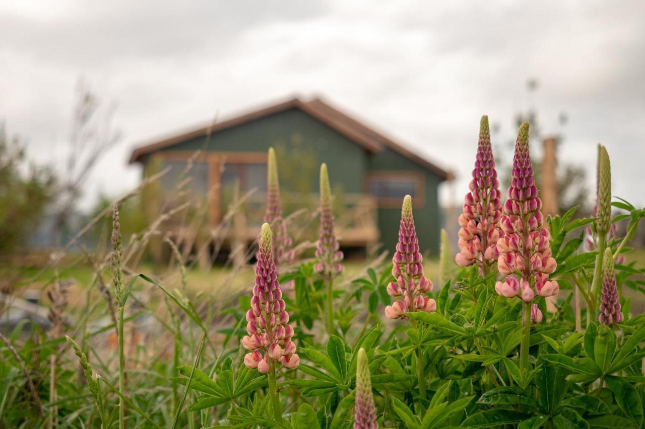 Garden Domes Villa Puerto Natales Esterno foto