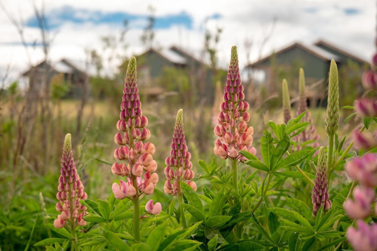 Garden Domes Villa Puerto Natales Esterno foto