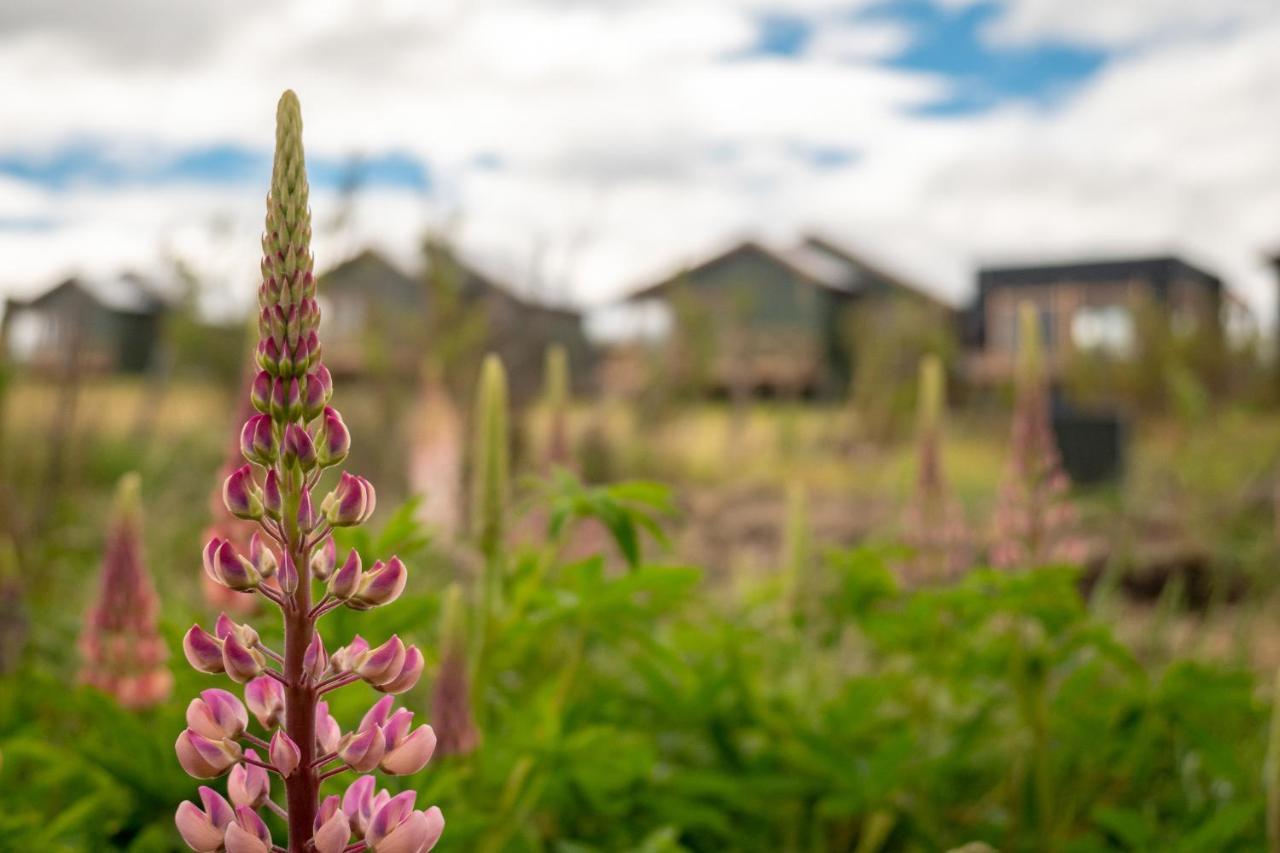 Garden Domes Villa Puerto Natales Esterno foto