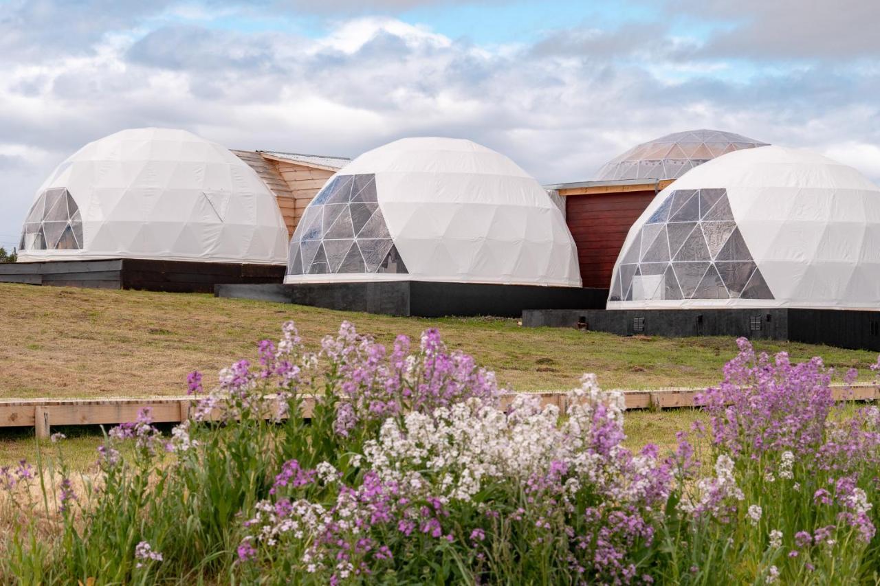 Garden Domes Villa Puerto Natales Esterno foto