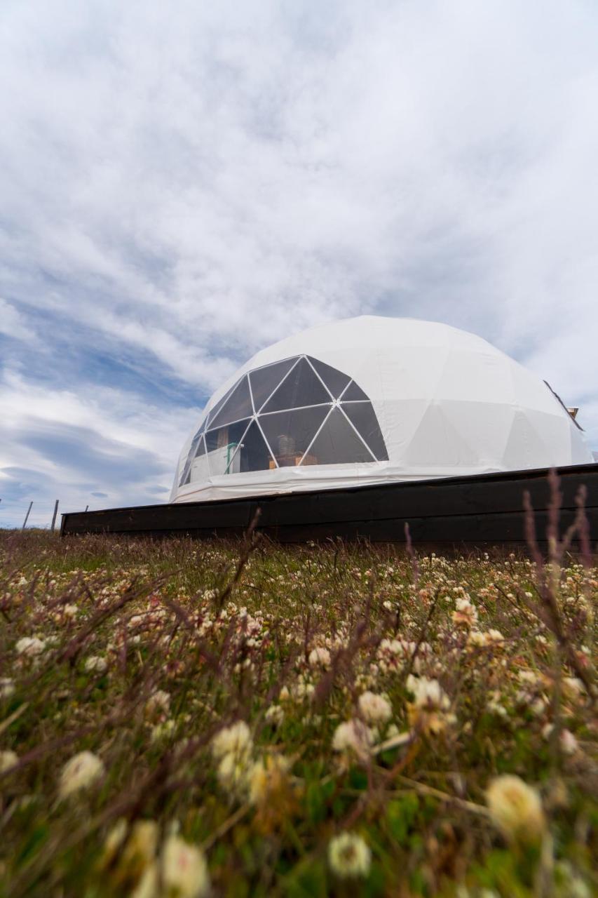 Garden Domes Villa Puerto Natales Esterno foto